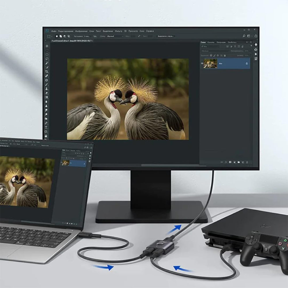 Mowsil HDMI Switch 2 IN 1 OUT