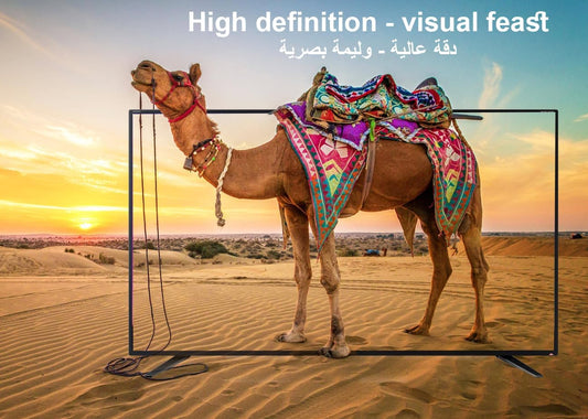 كابل موسيل USB4 Thunderbolt 4 | دقة 8K بتردد 60 هرتز، سرعة 40 جيجابت في الثانية، شحن سريع PD بقوة 240 واط، USB-C إلى USB-C | شاشة كمبيوتر محمول